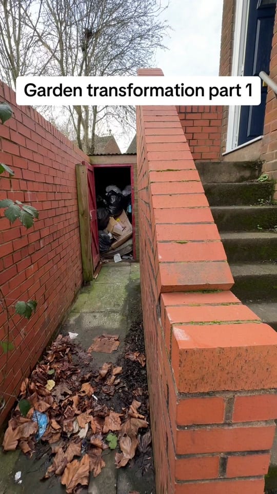 Post 8 by thetreefellauk on TikTok (video)