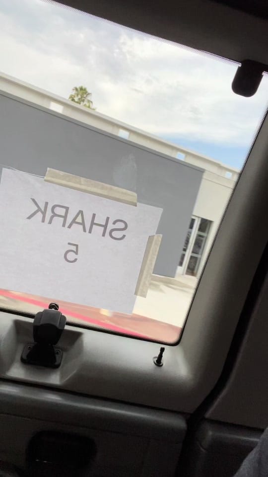 Post 4 by Loveandpebble on TikTok (video)