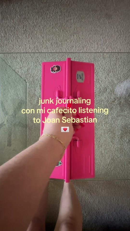 Post 3 by Alejandra Villaseñor on TikTok (video)