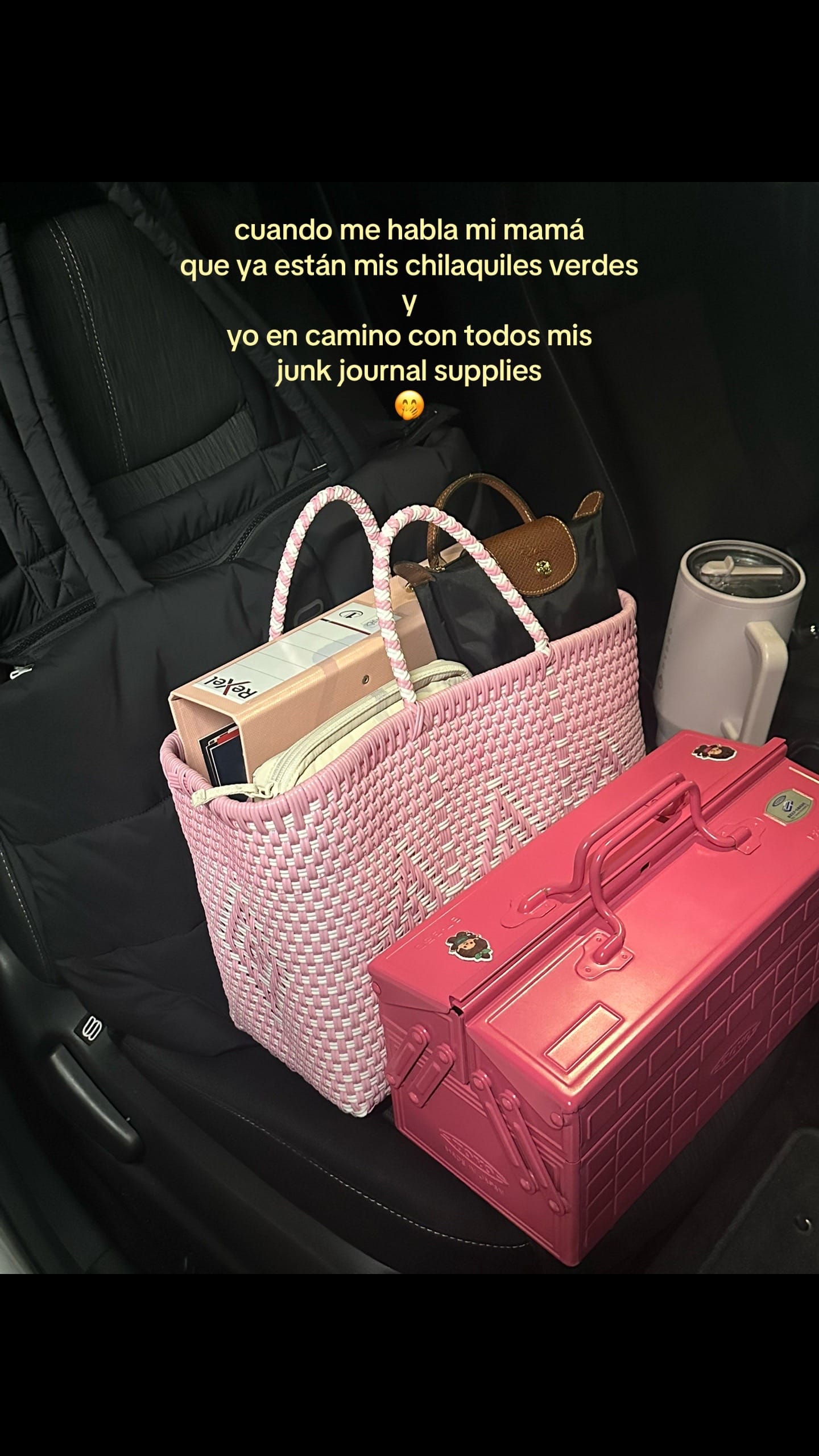Post 1 by Alejandra Villaseñor on TikTok (video)