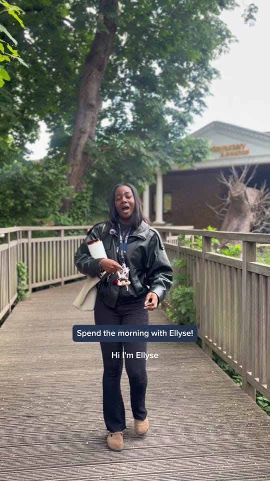 Post 6 by Fennies Nurseries on TikTok (video)