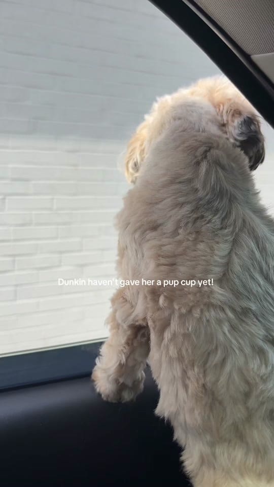 Post 5 by Junkie4nailz on TikTok (video)