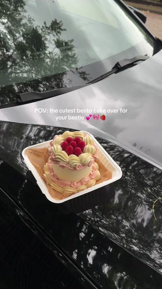 Post 4 by Zara ❥ on TikTok (video)