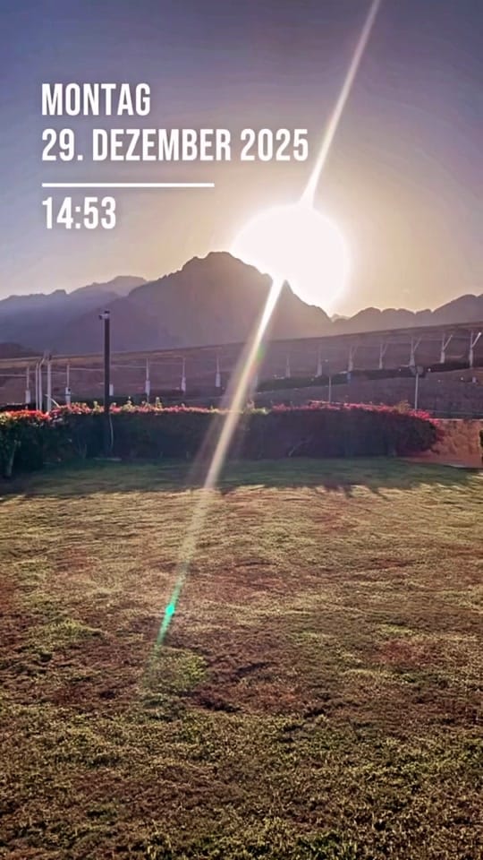 Post 1 by Hailey on TikTok (video)