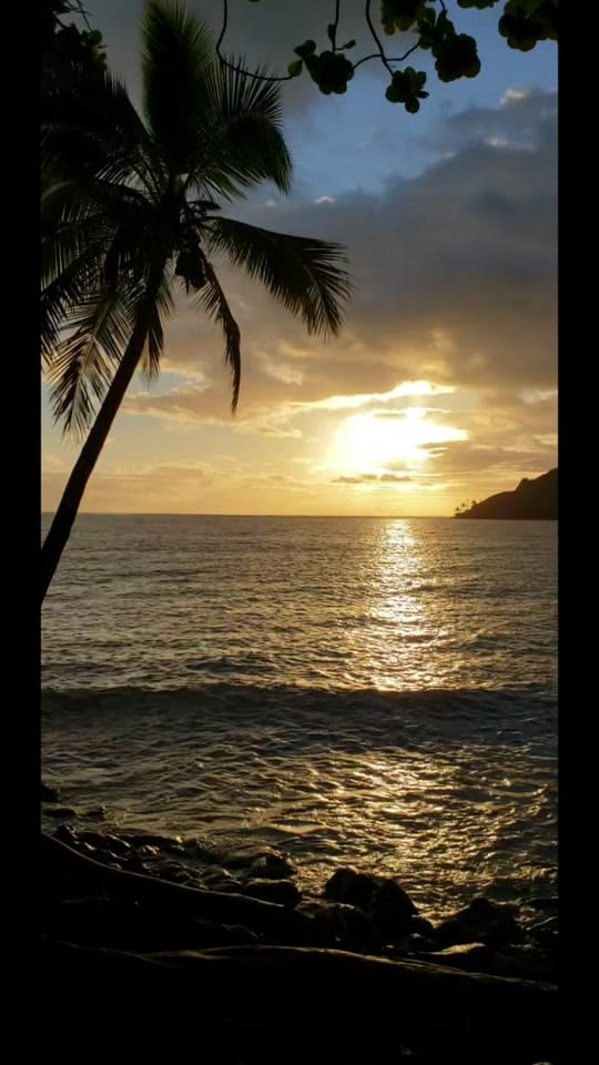 Post 7 by island_kustom_concepts on TikTok (video)