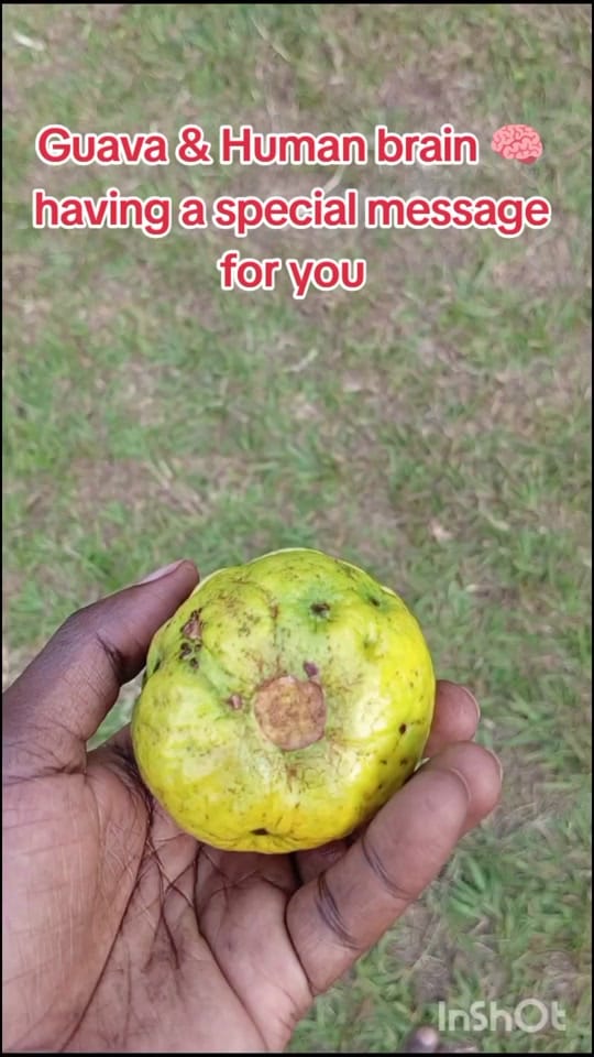Post 10 by NATURALIS on TikTok (video)