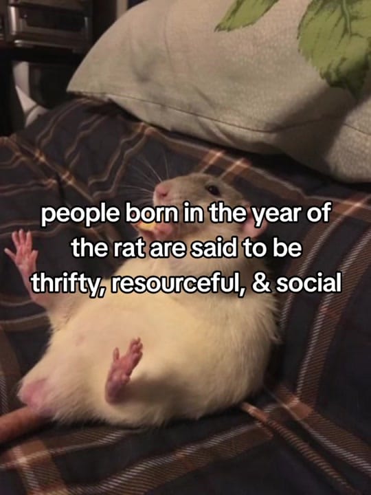 Post 10 by ⋅•°*⊰ 𝙼𝙰𝙺𝙾 ⊱*°•⋅ on TikTok (video)