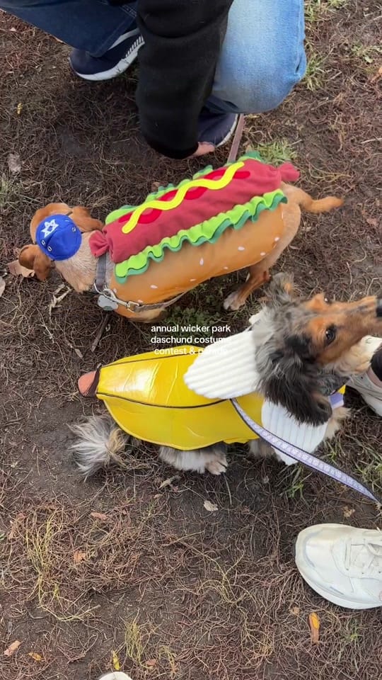 Post 7 by piperslifeincolor on TikTok (video)