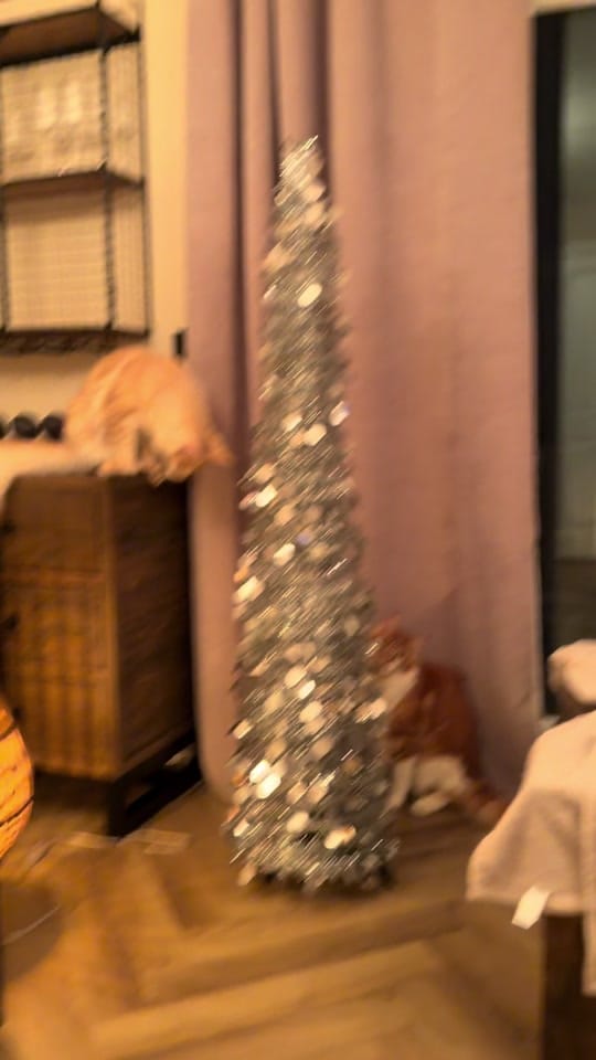 Post 10 by sonia_the_cat_nanny on TikTok (video)