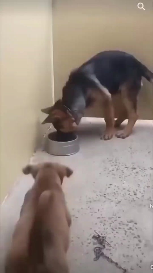 Post 7 by Atlanta Prin on TikTok (video)