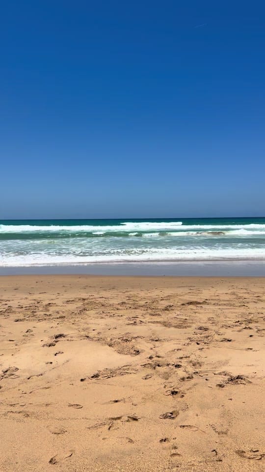 Post 6 by ♡patty♡ on TikTok (video)