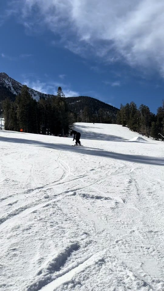 Post 6 by Amanda Rae Meyers on TikTok (video)