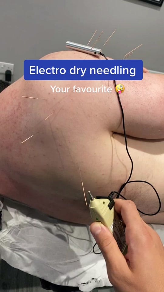 Post 9 by PrimalTherapy on TikTok (video)