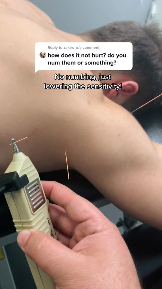 Post 8 by PrimalTherapy on TikTok (video)