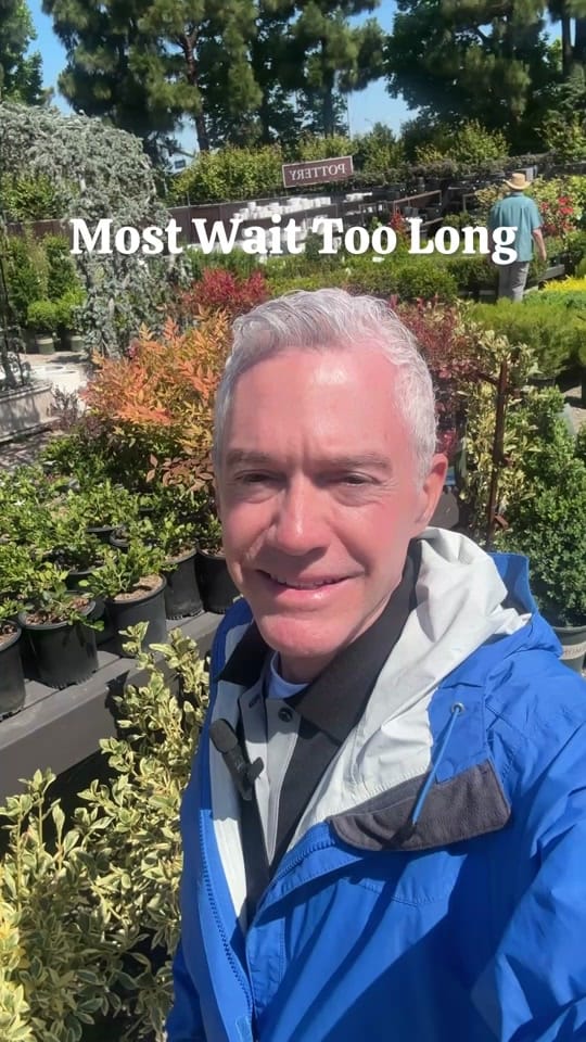 Post 8 by Dr. Aristotle on TikTok (video)