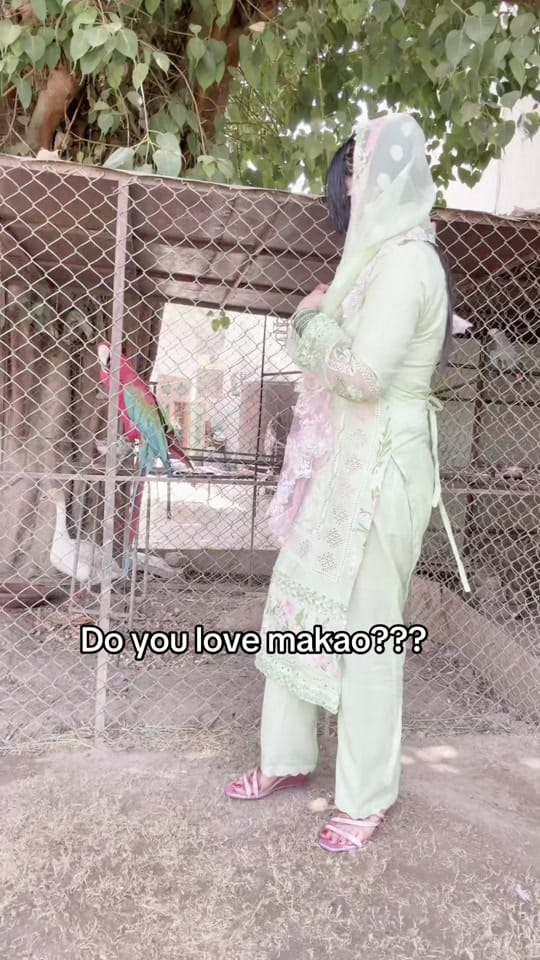 Post 2 by Dr Sidra Aziz on TikTok (video)