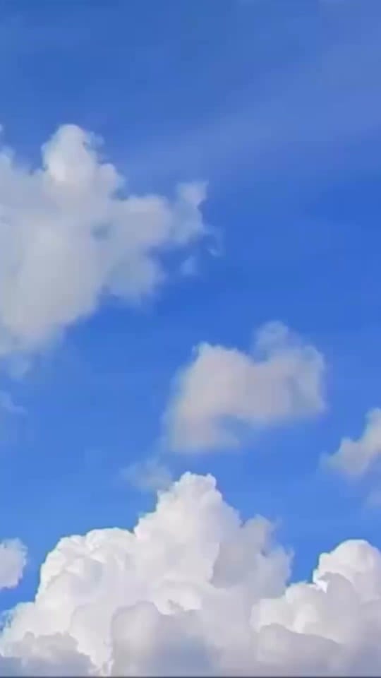Post 7 by The Craig Tyler Trust on TikTok (video)
