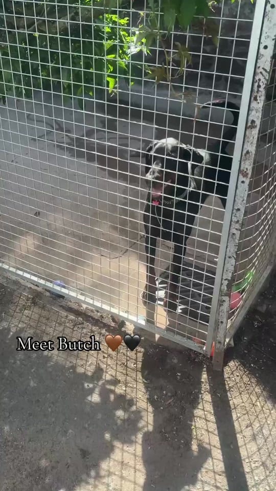 Post 2 by 𝐵𝑒𝓉𝓈 𝓍 on TikTok (video)