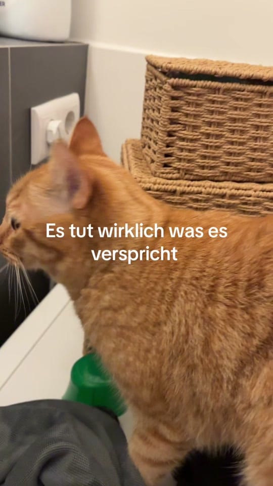 Post 8 by sudee.065 on TikTok (video)
