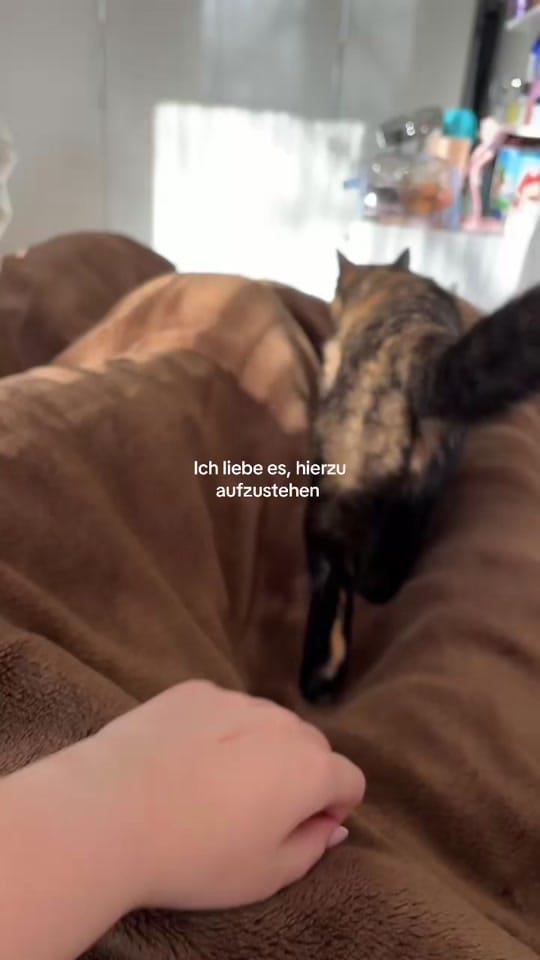 Post 5 by sudee.065 on TikTok (video)