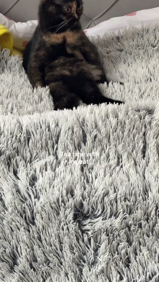 Post 2 by sudee.065 on TikTok (video)
