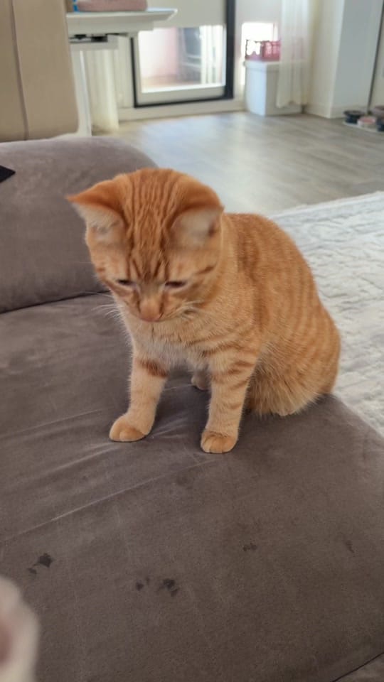 Post 7 by sudee.065 on TikTok (video)