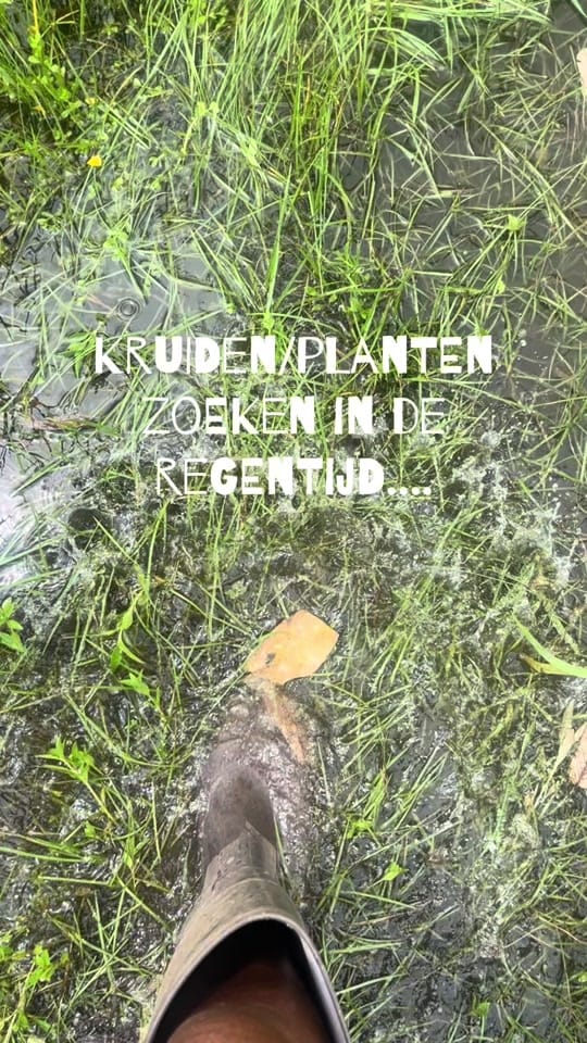 Post 5 by the essential me on TikTok (video)