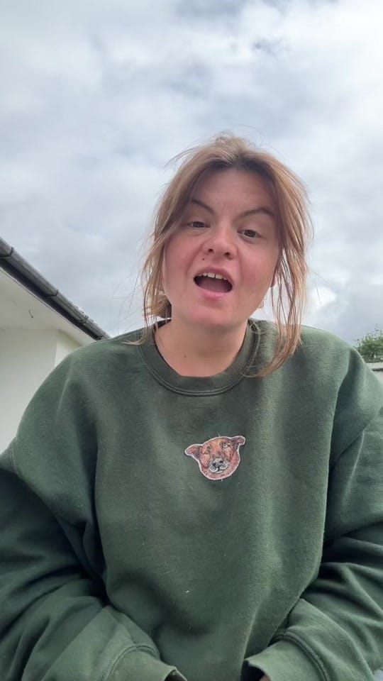Post 6 by Fetcher Dog on TikTok (video)