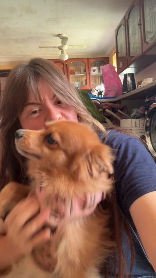 Post 1 by Fetcher Dog on TikTok (video)