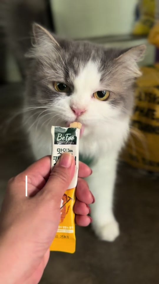 Post 5 by Ate Marra 🐱 on TikTok (video)