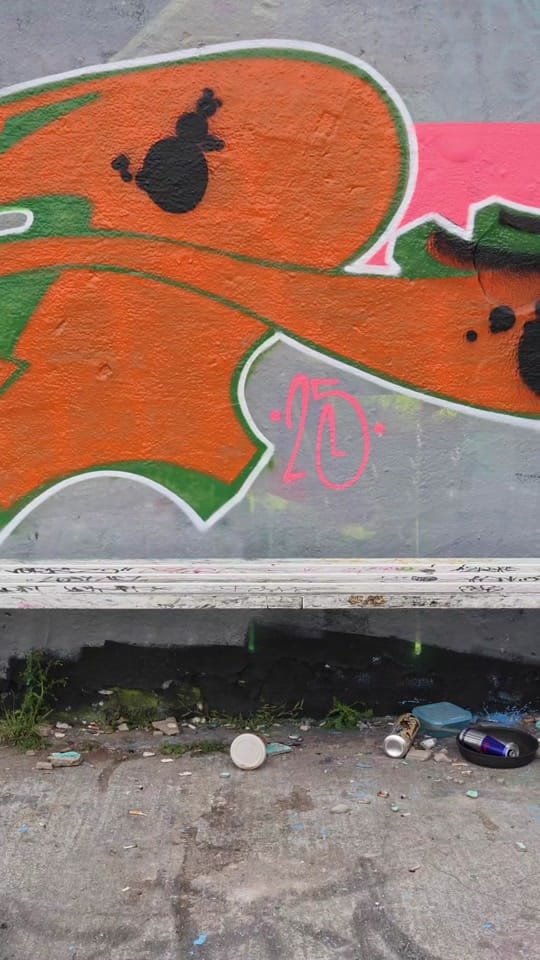 Post 5 by Fagan on TikTok (video)
