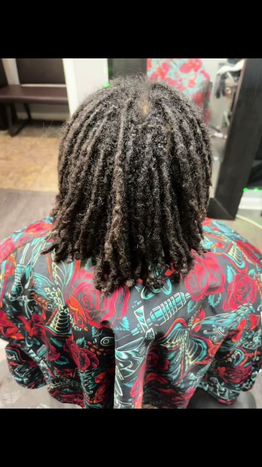 Post 3 by BriLocsChicago on TikTok (video)