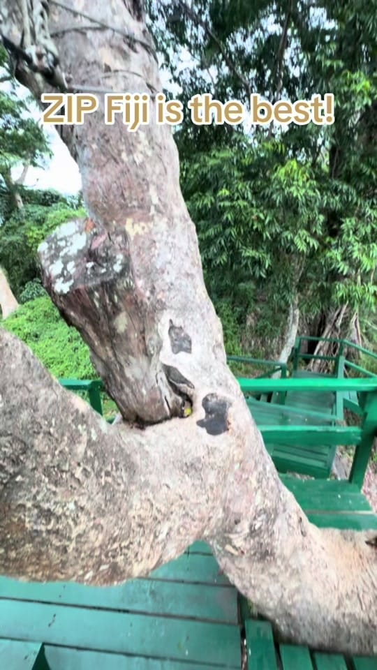 Post 3 by alexnuusila on TikTok (video)