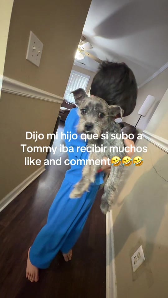 Post 7 by roxanakafati on TikTok (video)