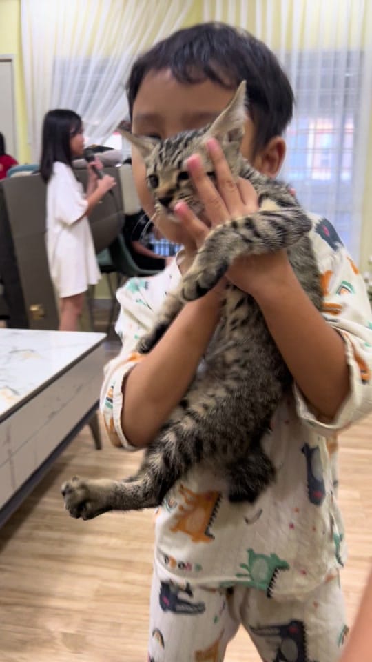 Post 7 by 🇲🇾MdmAmmy on TikTok (video)
