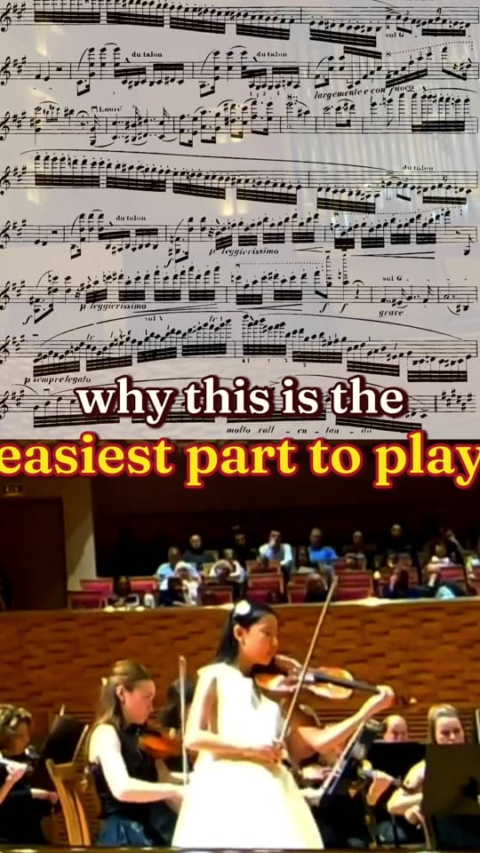 Post 9 by Violinist Leia Zhu on TikTok (video)