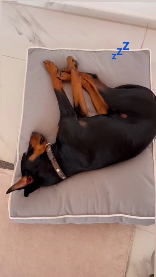 Post 6 by selolamour_ on TikTok (video)