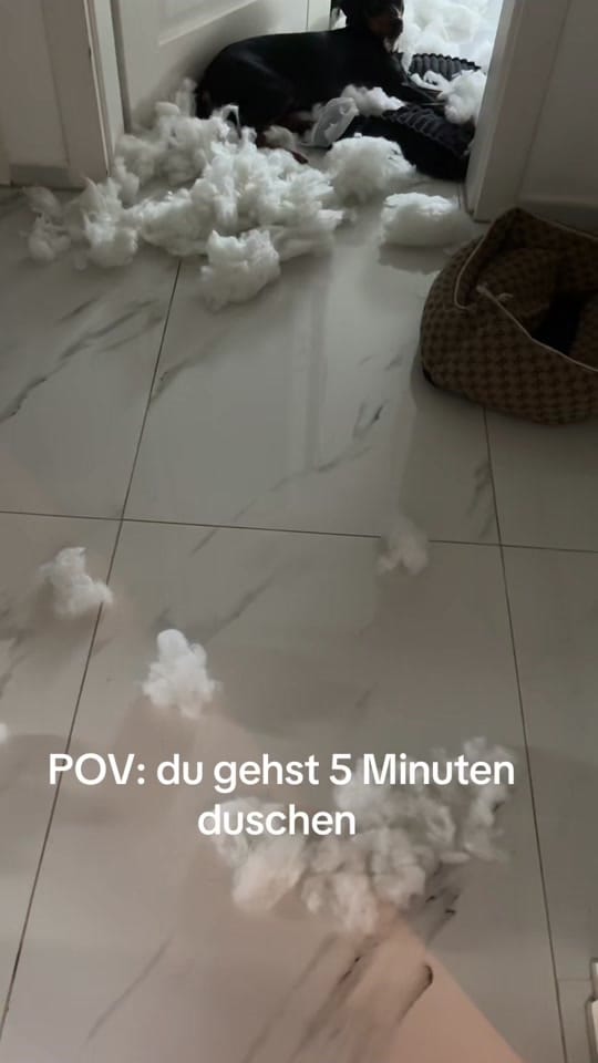Post 3 by selolamour_ on TikTok (video)