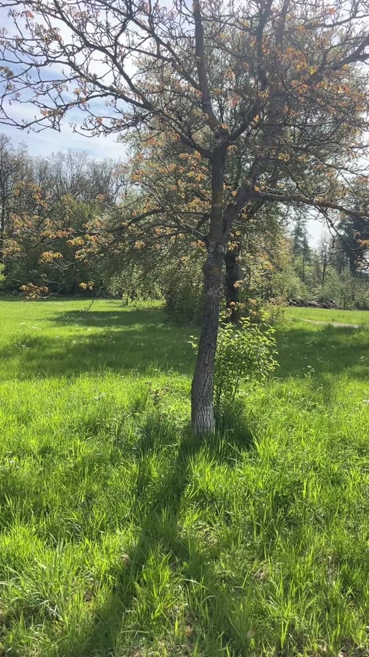 Post 4 by franca on TikTok (video)