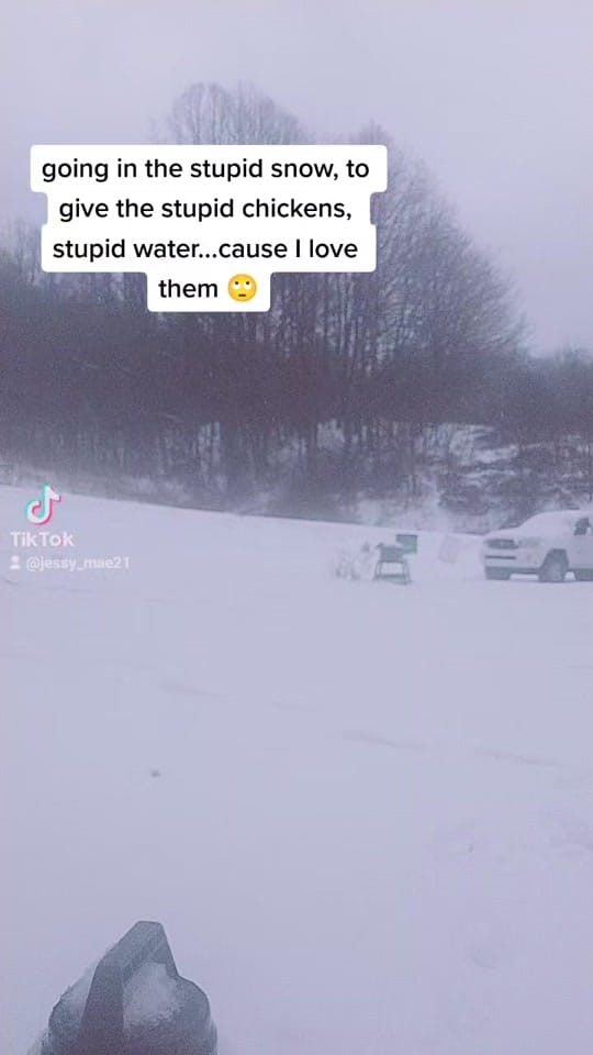 Post 10 by Jessy Mae on TikTok (video)