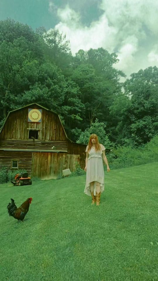 Post 6 by Jessy Mae on TikTok (video)