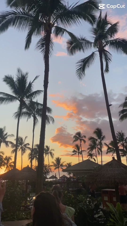 Post 4 by Alyssa Reichel on TikTok (video)