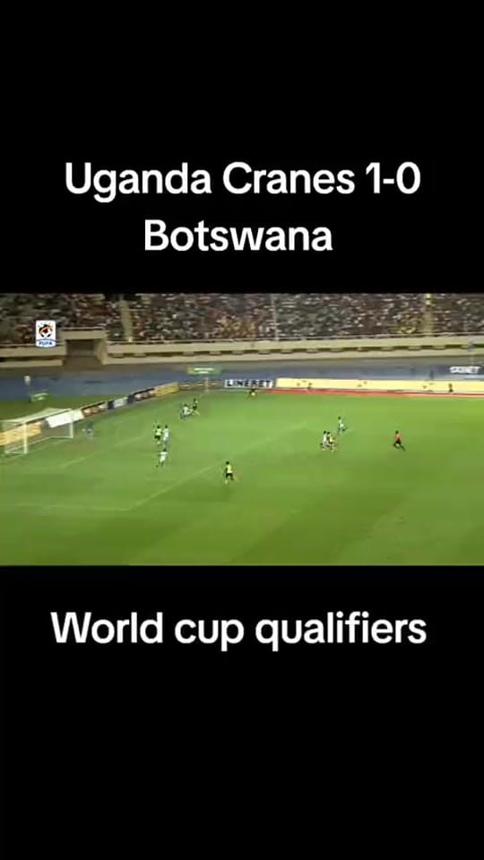 Post 4 by velocity on TikTok (video)