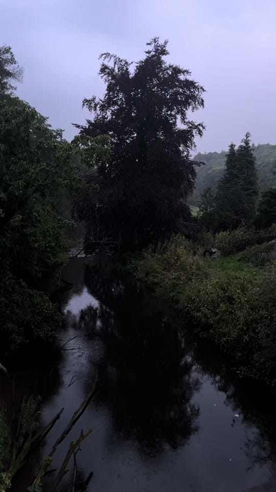 Post 7 by Ameliacee on TikTok (video)