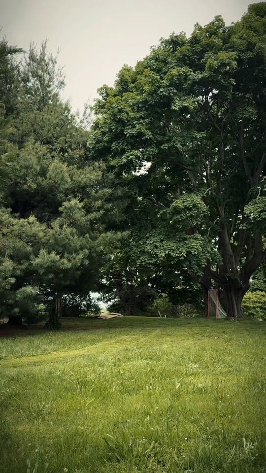 Post 5 by Lawrence Ford on TikTok (video)