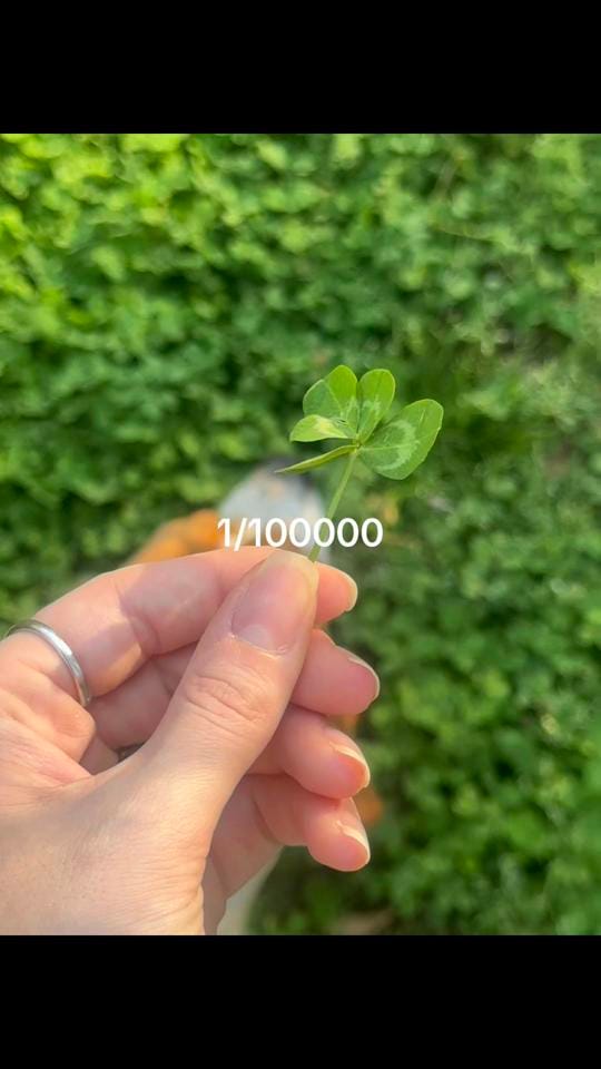 Post 6 by vanessa 🌸 on TikTok (video)