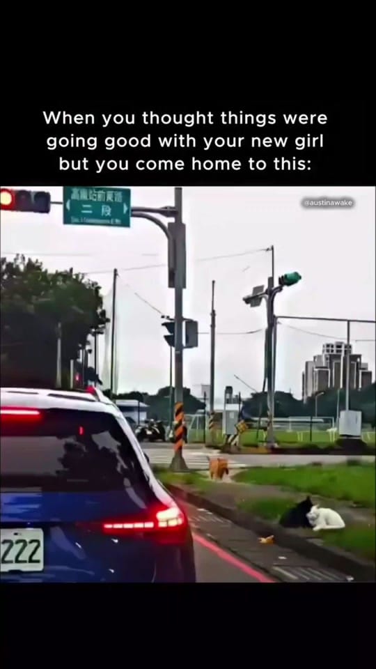 Post 4 by Blackberry Holler on TikTok (video)