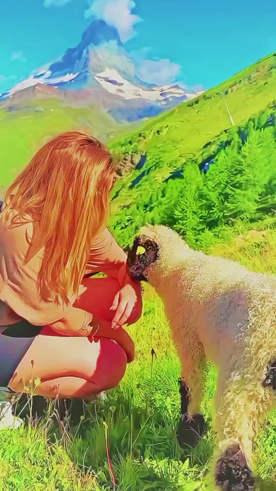 Post 1 by ꧁༒☬ 𝘿𝘼𝙄𝙎𝙔 ❹❾❾ ☬༒꧂ on TikTok (video)