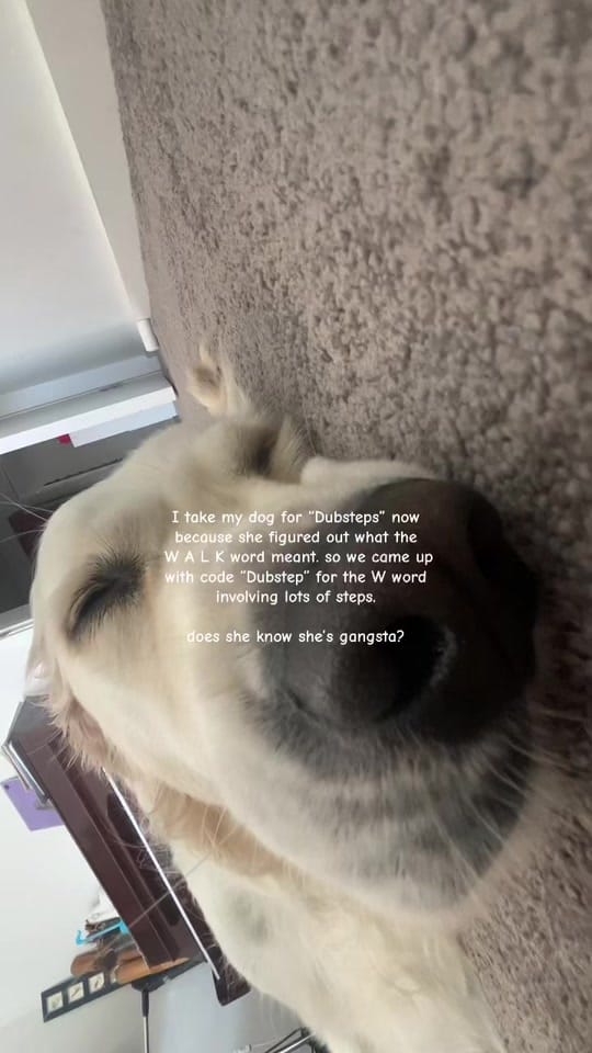 Post 6 by chloegillmusicc on TikTok (video)