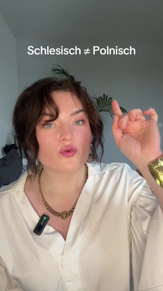 Post 10 by Nicole Zrk on TikTok (video)